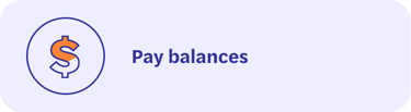 Pay balances